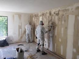 Mold Remediation for Rental Properties